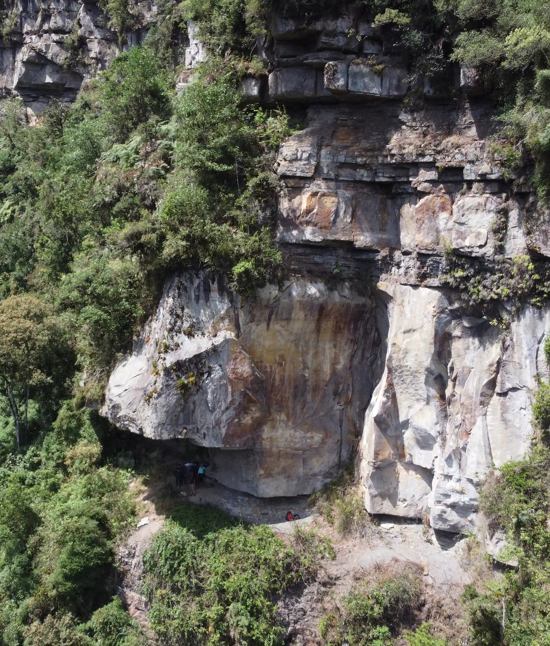 Day 1 — Andean Ecosystem Immersion