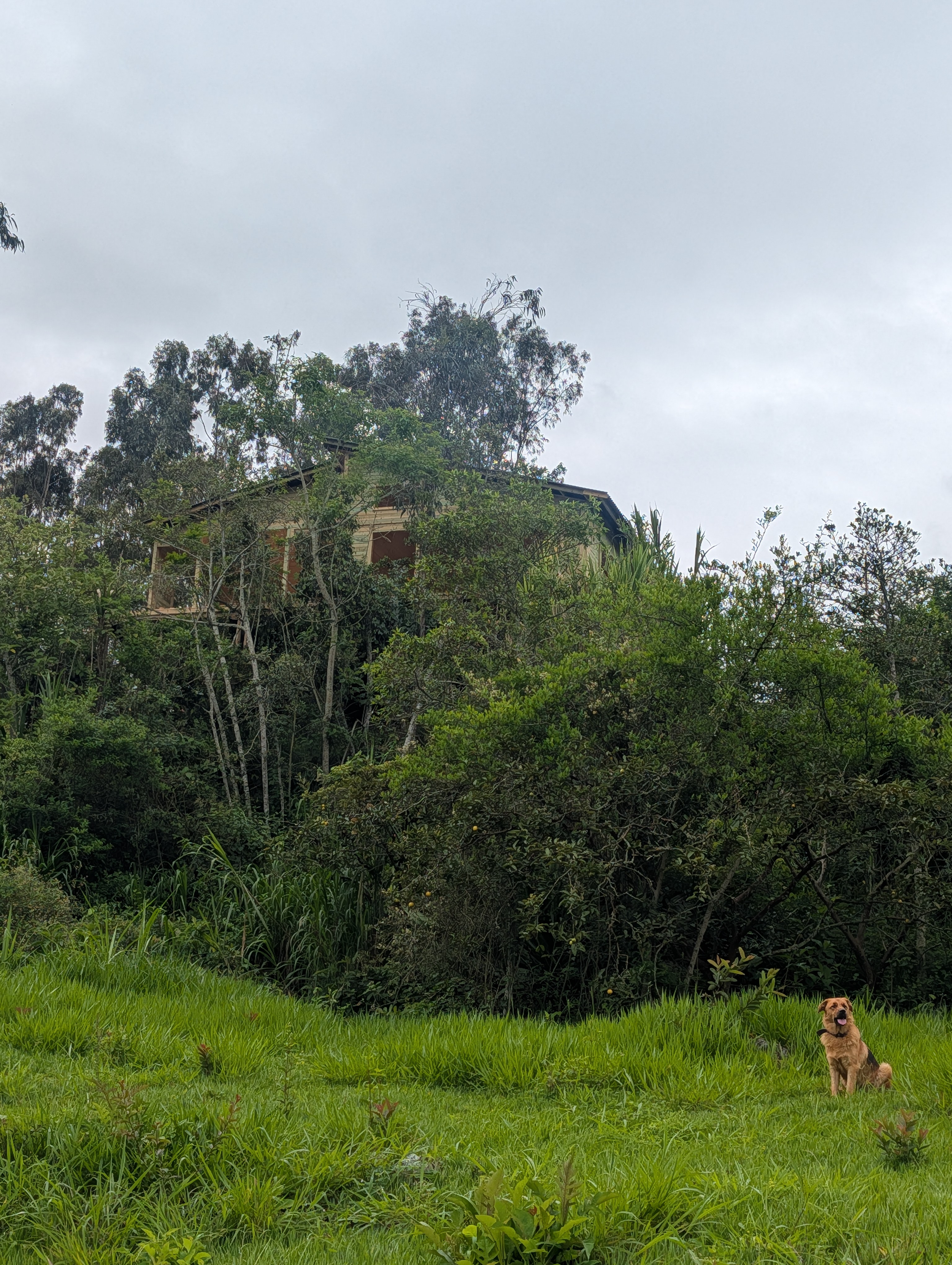 Naranjalia Refuge