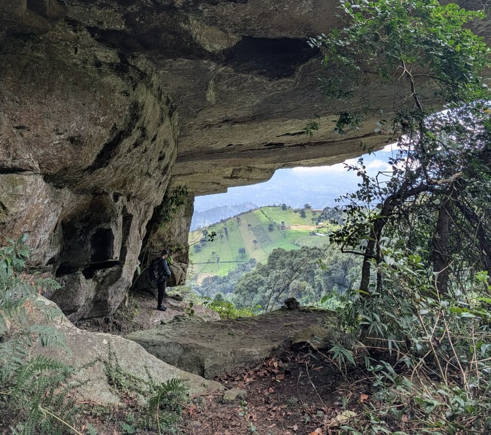 RocaBlanca Cloud Forest